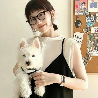 无中文译名
